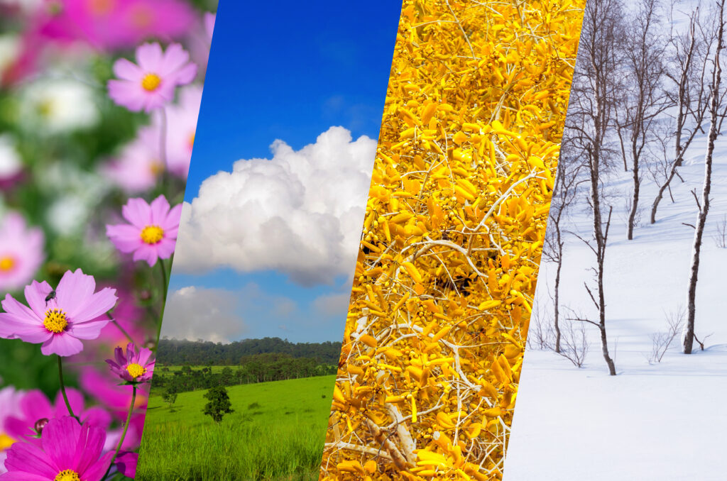 seasonal changes and digestive regularity